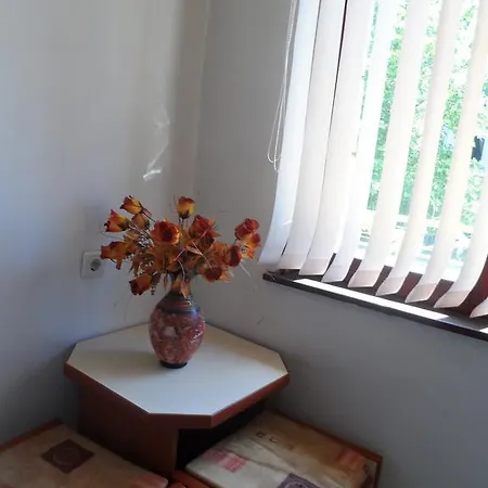 Apartment Tomovi *